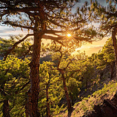 La isla de La Palma, en el 'top 10' mundial de los destinos favoritos para el turista senior