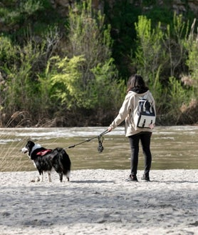 Imagen secundaria 2 - Toledo conservará su 'nueva playa', con pistas de voley, pero con un «control sanitario»
