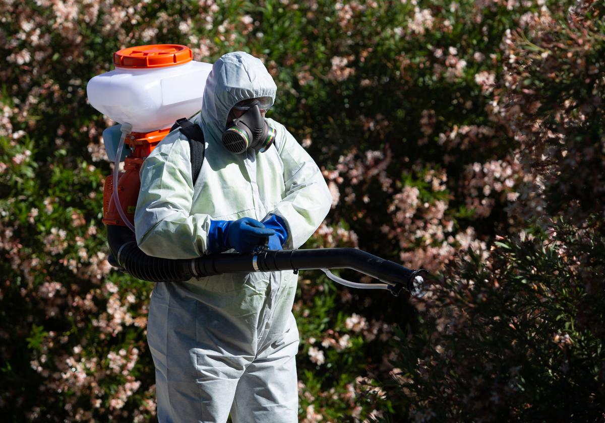 Trabajos de fumigación contra el virus del Nilo
