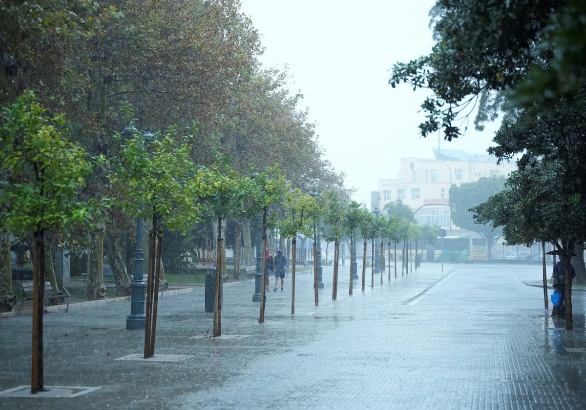 Una calle vacía bajo la intensa lluvia.