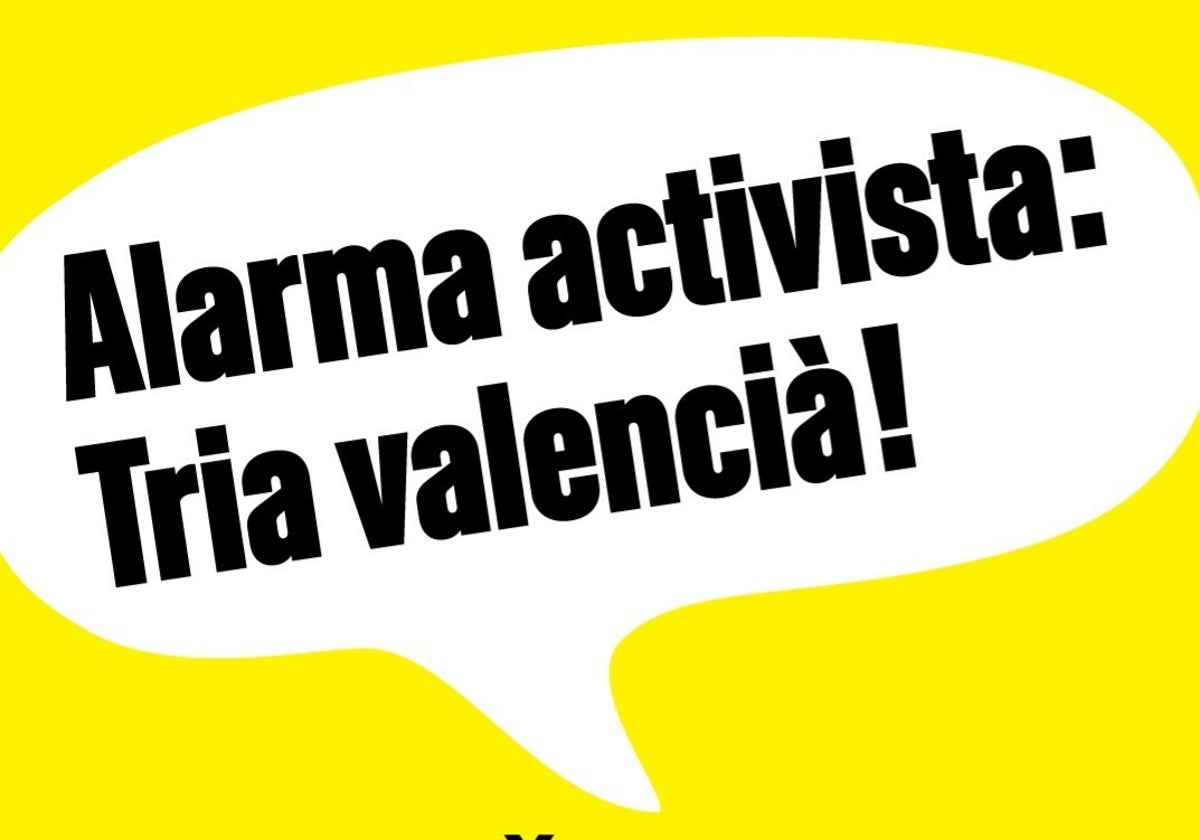 Cartel difundido en internet en la campaña para la votación entre valenciano o castellano en las aulas por una entidad partidaria del primero