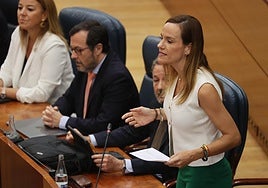 El PP de Ayuso se queda solo en la Comisión Cataluña de la Asamblea tras el abandono del PSOE, Más Madrid y Vox