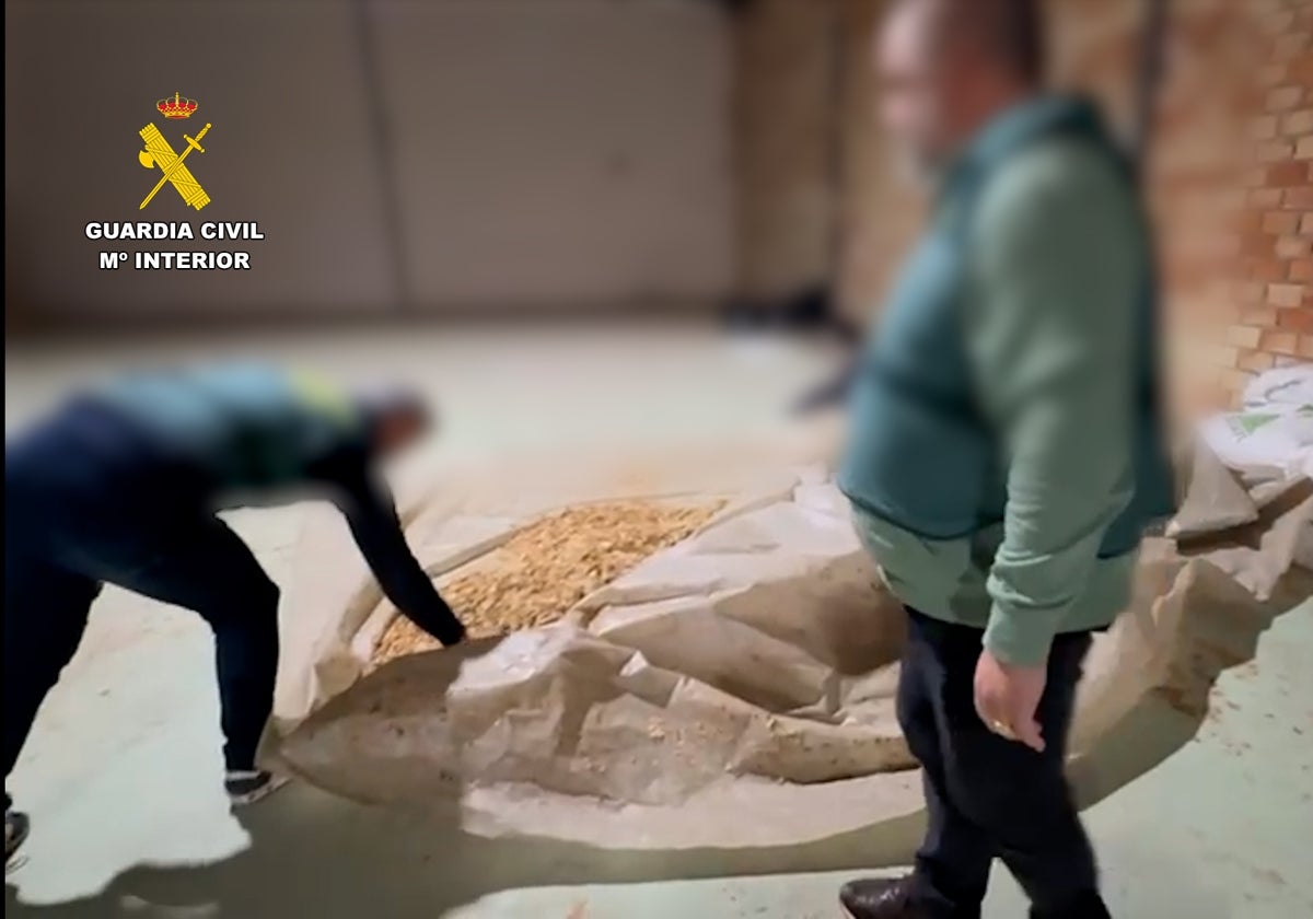 Interior de la nave intervenida en Lucena con la hoja de tabaco para la fabricación ilegal