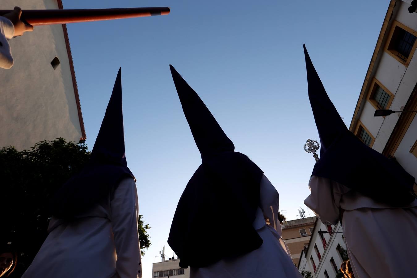 Las imágenes de la hermandad de la Santa Faz en el Martes Santo