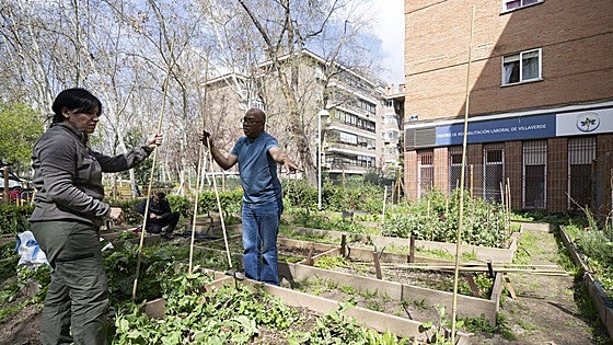 Un refugio para que pacientes de salud mental recuperen su vida