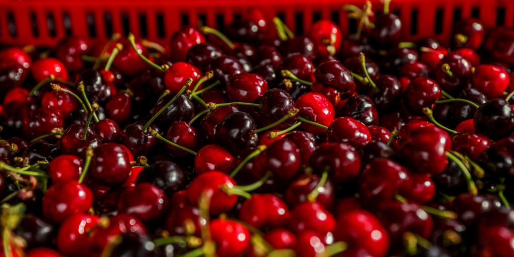 China, el próximo gran reto de la cereza del Jerte