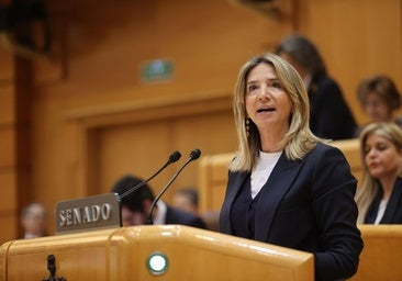 El PP instará desde el Senado al Gobierno a presentar los Presupuestos «como dicta la Constitución»