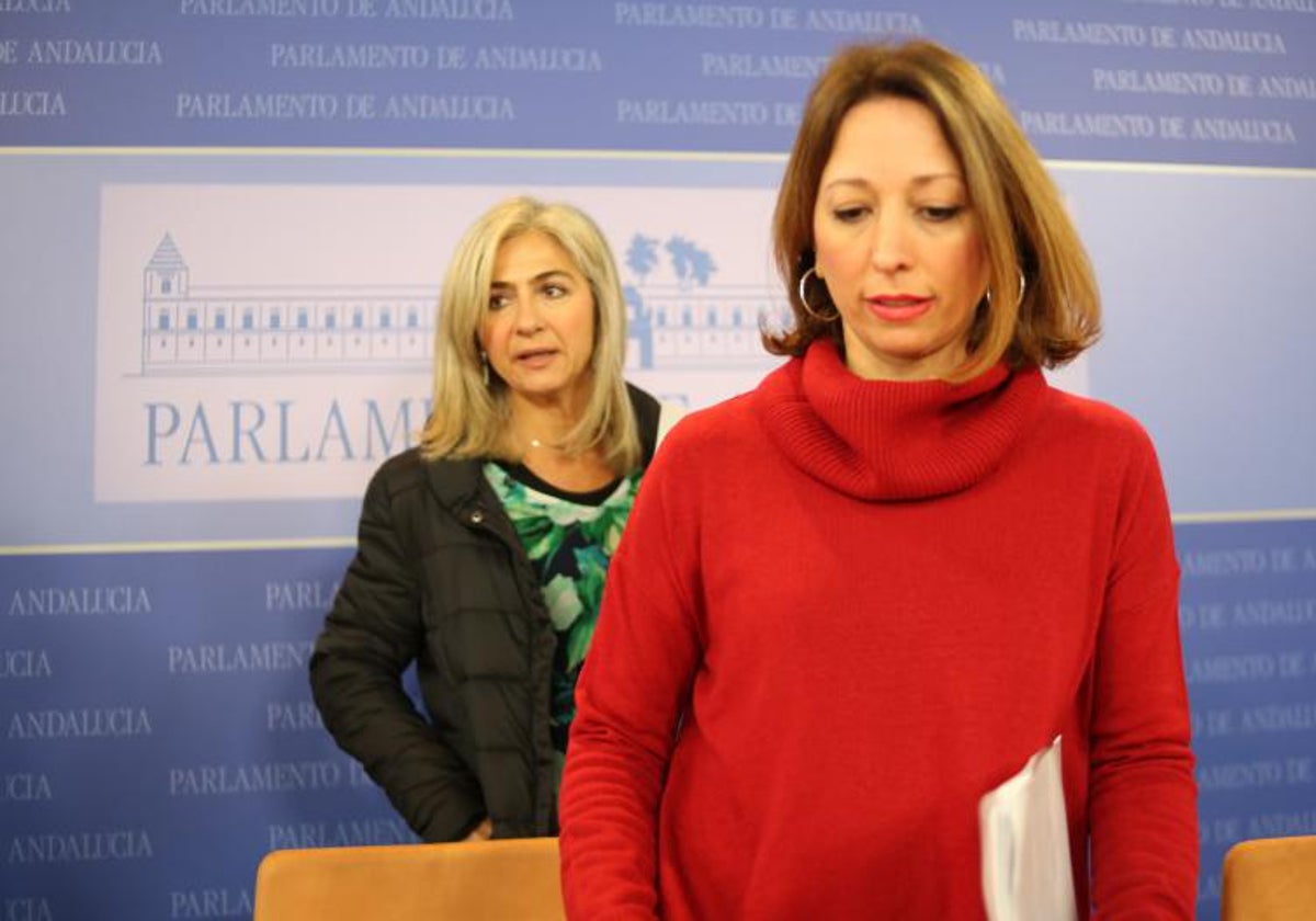 Patricia Navarro, presidenta del PP de Málaga