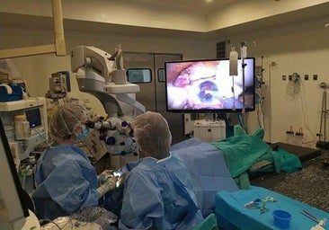 Castilla y León registra 35 donaciones de órganos en el primer trimestre, casi un 60% más que en el mismo periodo de 2024