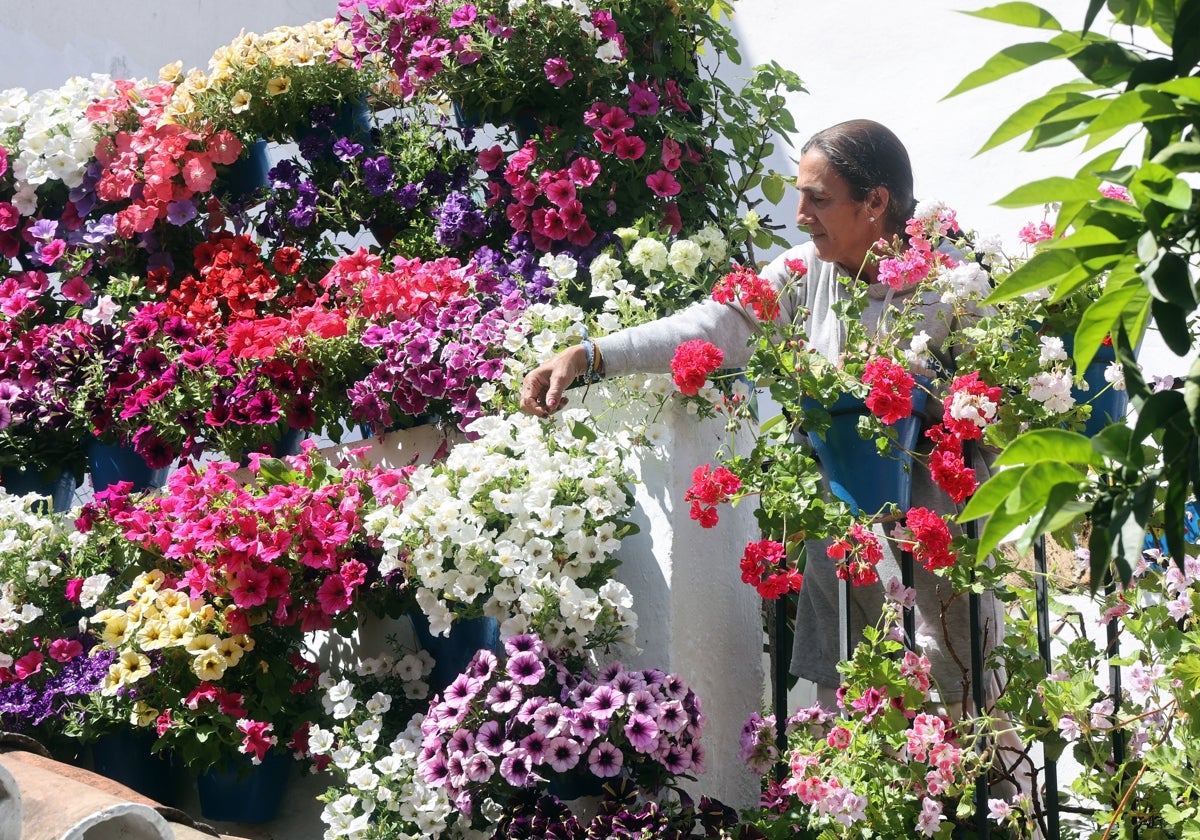 Festival de los Patios de Córdoba 2025: fechas, horarios y barrios