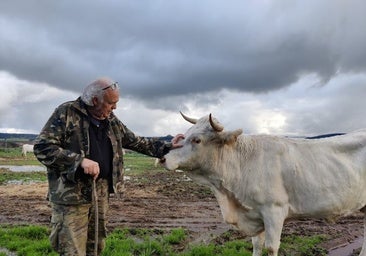 Ganaderos de Almaraz: los otros grandes perjudicados del cierre de la central nuclear