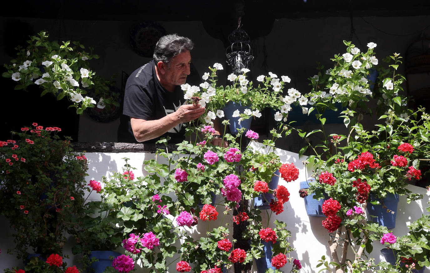 Los Patios de Córdoba a dos semanas de que empiece el certamen, en imágenes