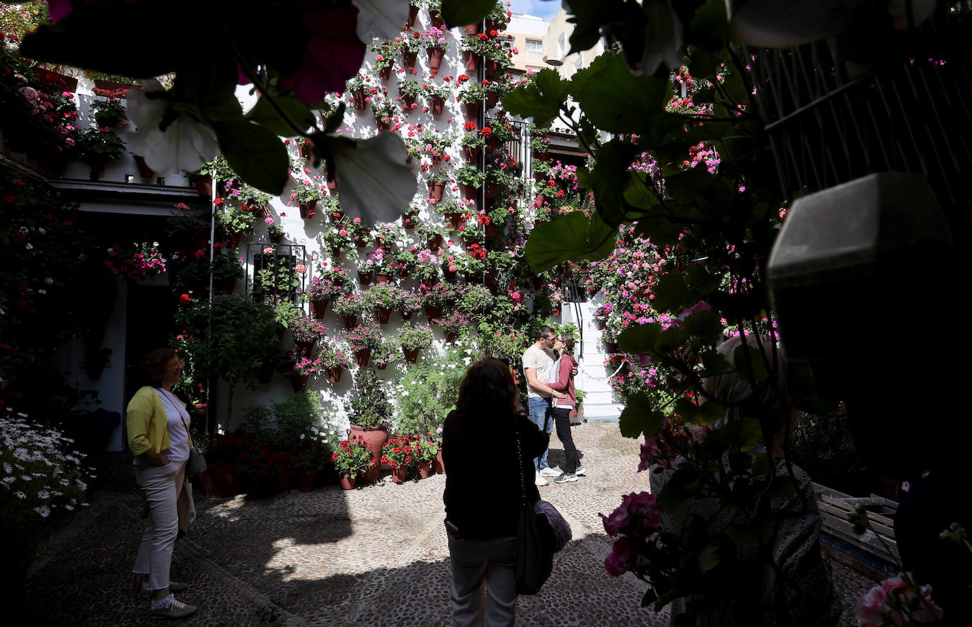 Los Patios de Córdoba a dos semanas de que empiece el certamen, en imágenes