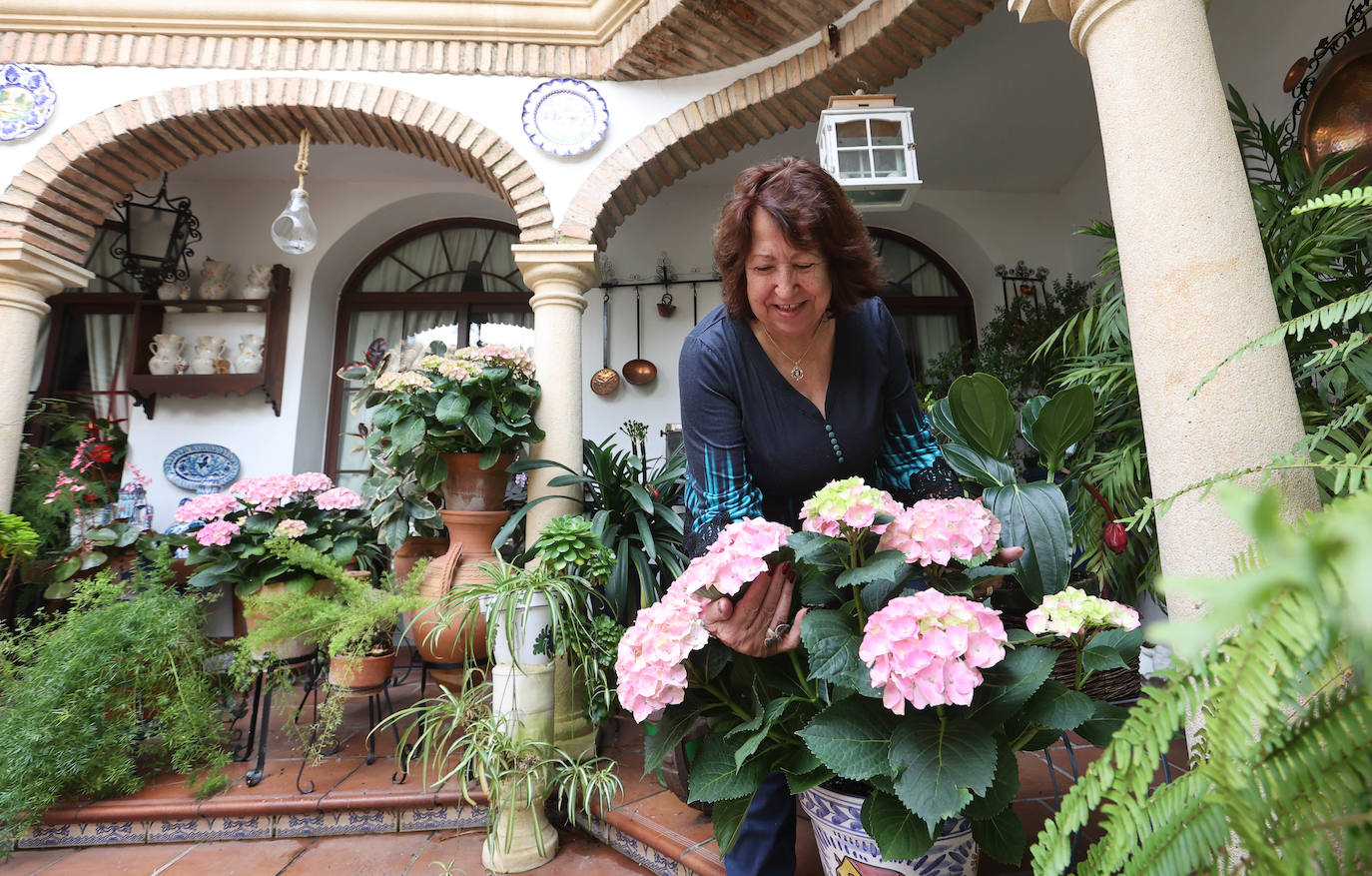 Los Patios de Córdoba a dos semanas de que empiece el certamen, en imágenes
