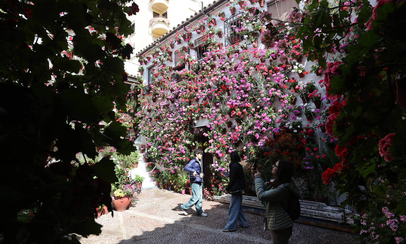 Los Patios de Córdoba a dos semanas de que empiece el certamen, en imágenes