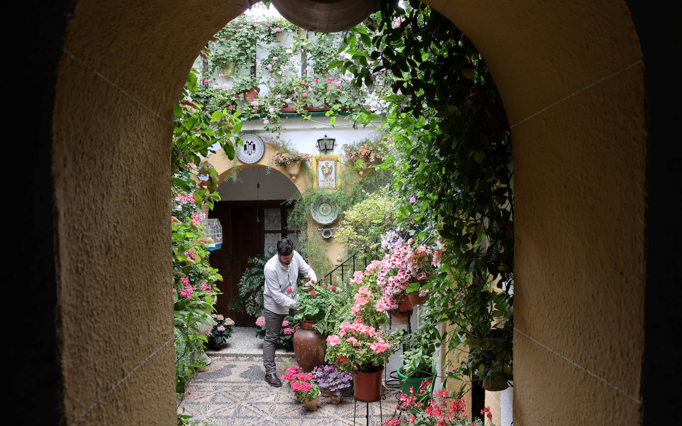 Los Patios de Córdoba a dos semanas de que empiece el certamen, en imágenes
