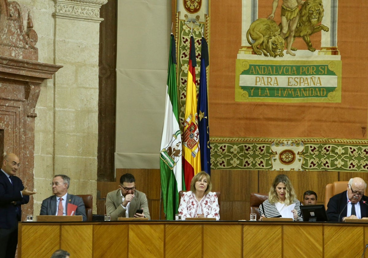El Parlamento de Andalucía luce crespones negros por el Papa