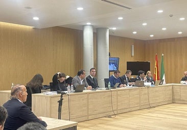 Caso 'saqueo del Córdoba CF': exconsejeros describen ante el juez la gestión irregular del club por León