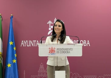 El PSOE denuncia otro retraso en el estreno del espectáculo nocturno del Alcázar