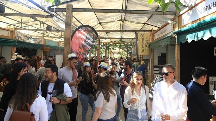 Feria del vino en Valencia 2025: horarios, precios y ubicación