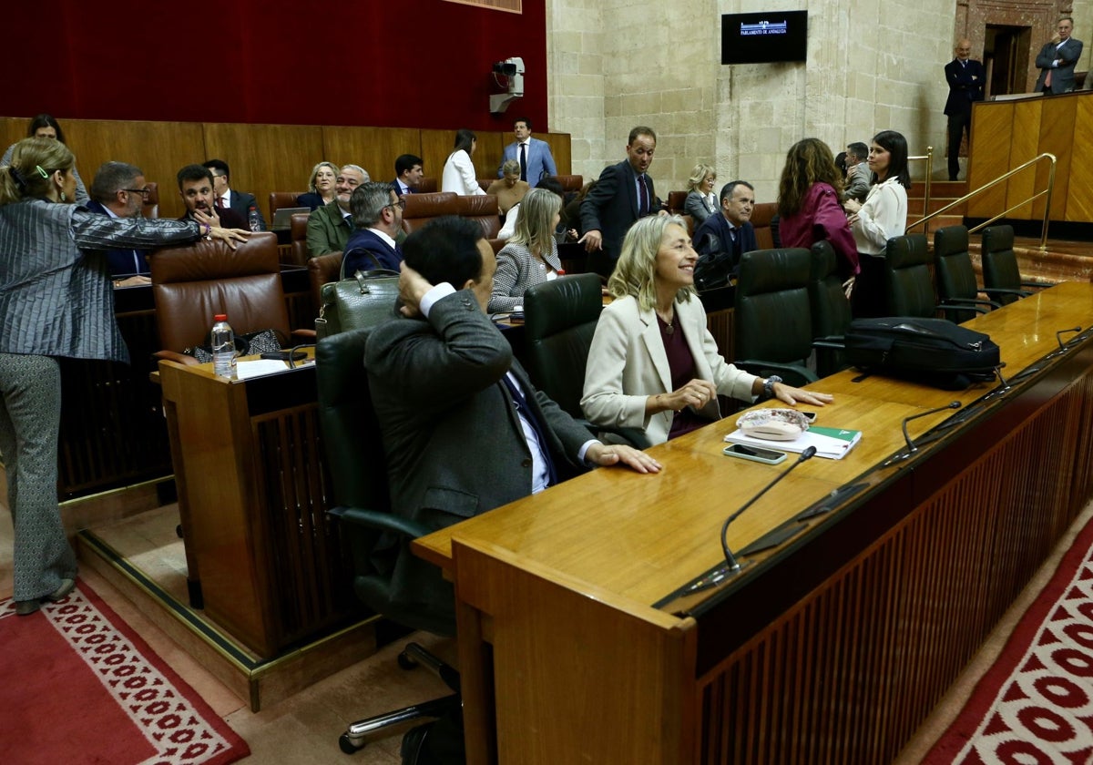 La consejera de Salud, Rocío Hernández, en el pleno