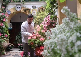 A los Patios de Córdoba les brota el optimismo a dos semanas de abrir: «Las flores han cogido este año acento gallego»