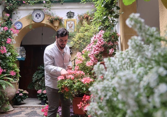 Preparativos en un patio de la calle Zarco, que participará en el Festival