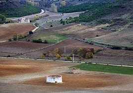 Tierra de Campos, cuatro provincias a una