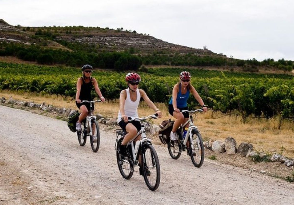 El enoturismo es una actividad cada vez con más demanda y en la que Castilla y León se posiciona como líder