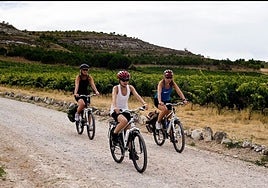 El vino, «motor de desarrollo rural»