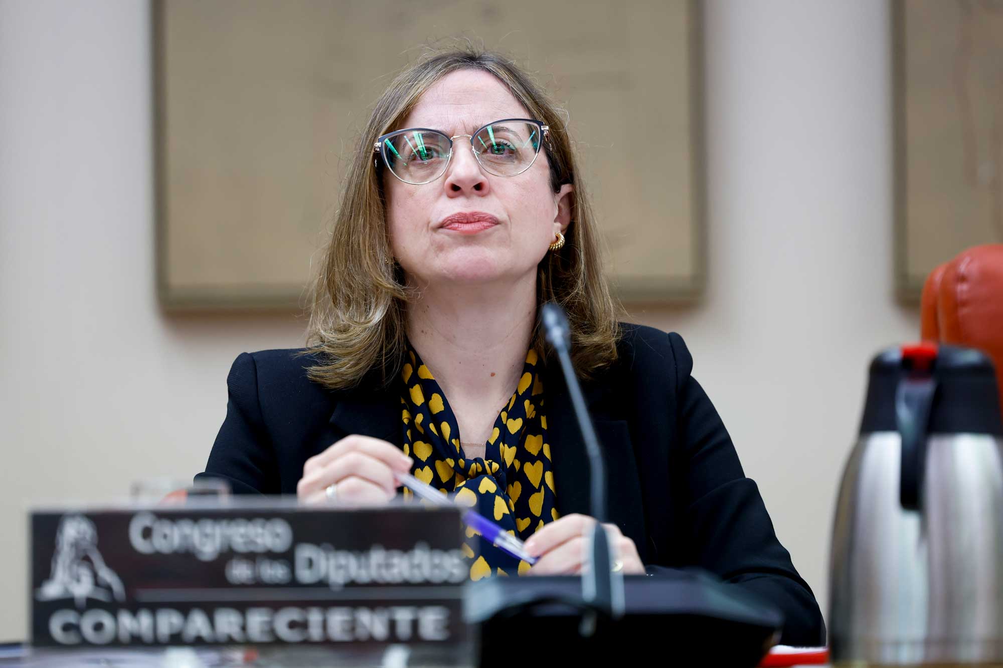 López Senovilla compareció en la Comisión de Defensa de Comercio