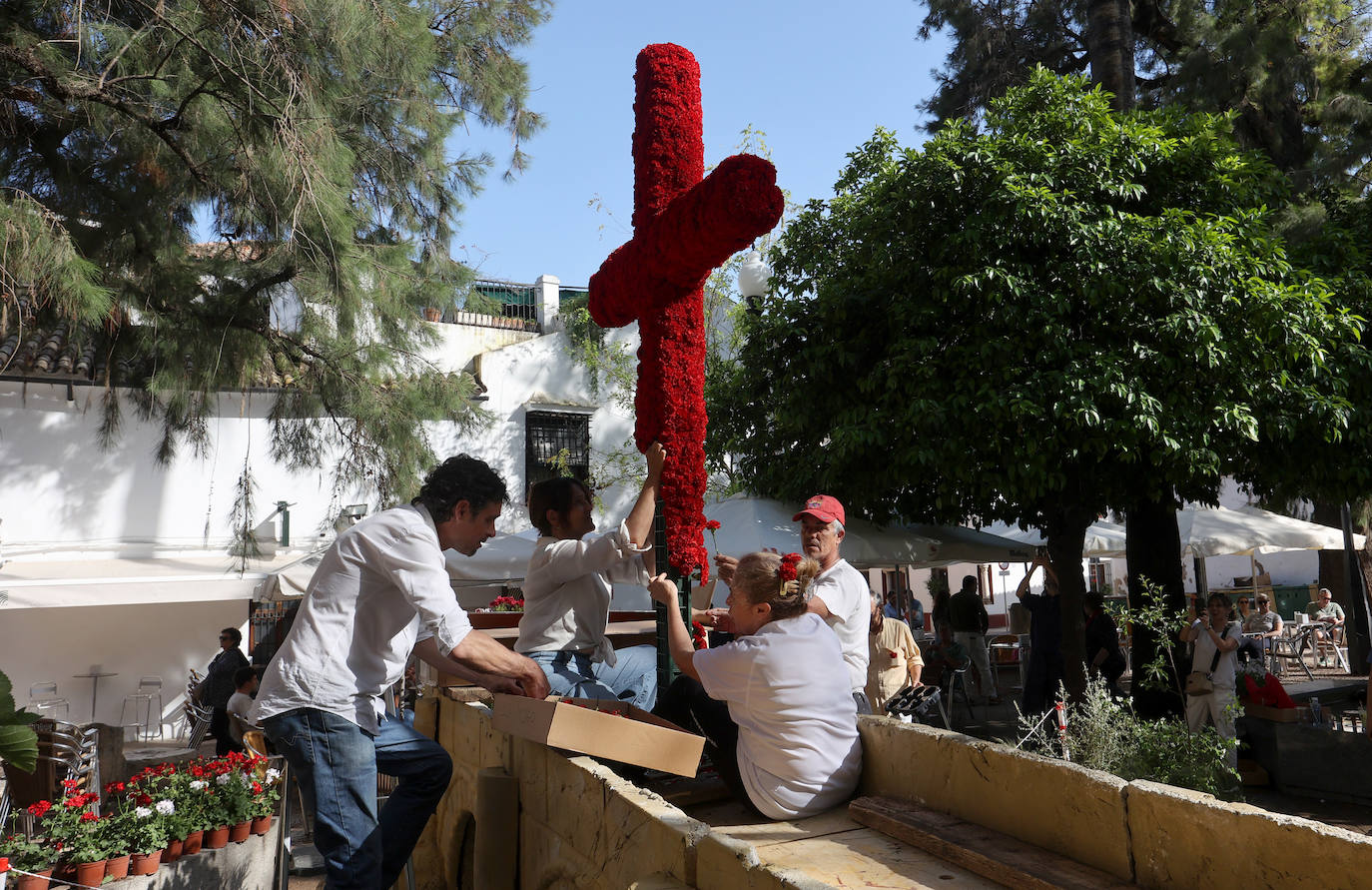 Los preparativos de las Cruces de Mayo en Córdoba, en imágenes