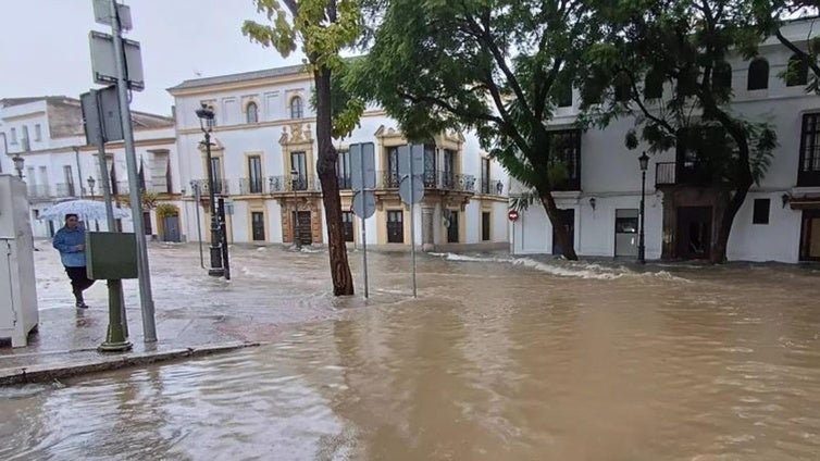 La Junta flexibiliza el cumplimiento de los ecorregímenes de las comarcas andaluzas en las que se declaró desastre natural por las lluvias