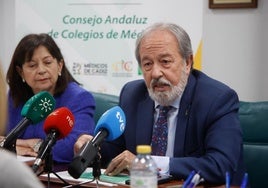 Alfonso Carmona, durante la presentación del informe sobre Demografía Médica de Andalucía de 2024
