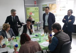 Loa 77, de Oleum Laguna, premio al mejor aceite de oliva virgen extra ecológico en Ecotrama