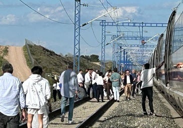 El PP exige la dimisión de la subdelegada del Gobierno en Zaragoza por «usar medios públicos para su rescate personal» en pleno apagón