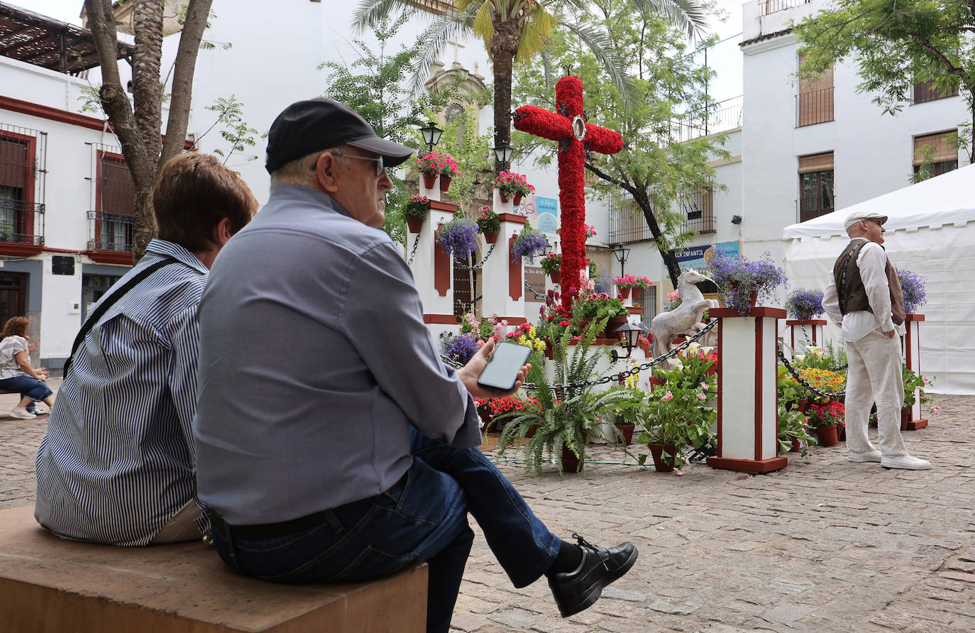 El color y la belleza de las Cruces de Mayo en Córdoba, en imágenes
