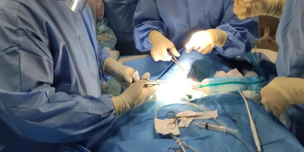 Los Colegios de Médicos andaluces alertan de la falta de especialistas y piden afinar la estrategia MIR