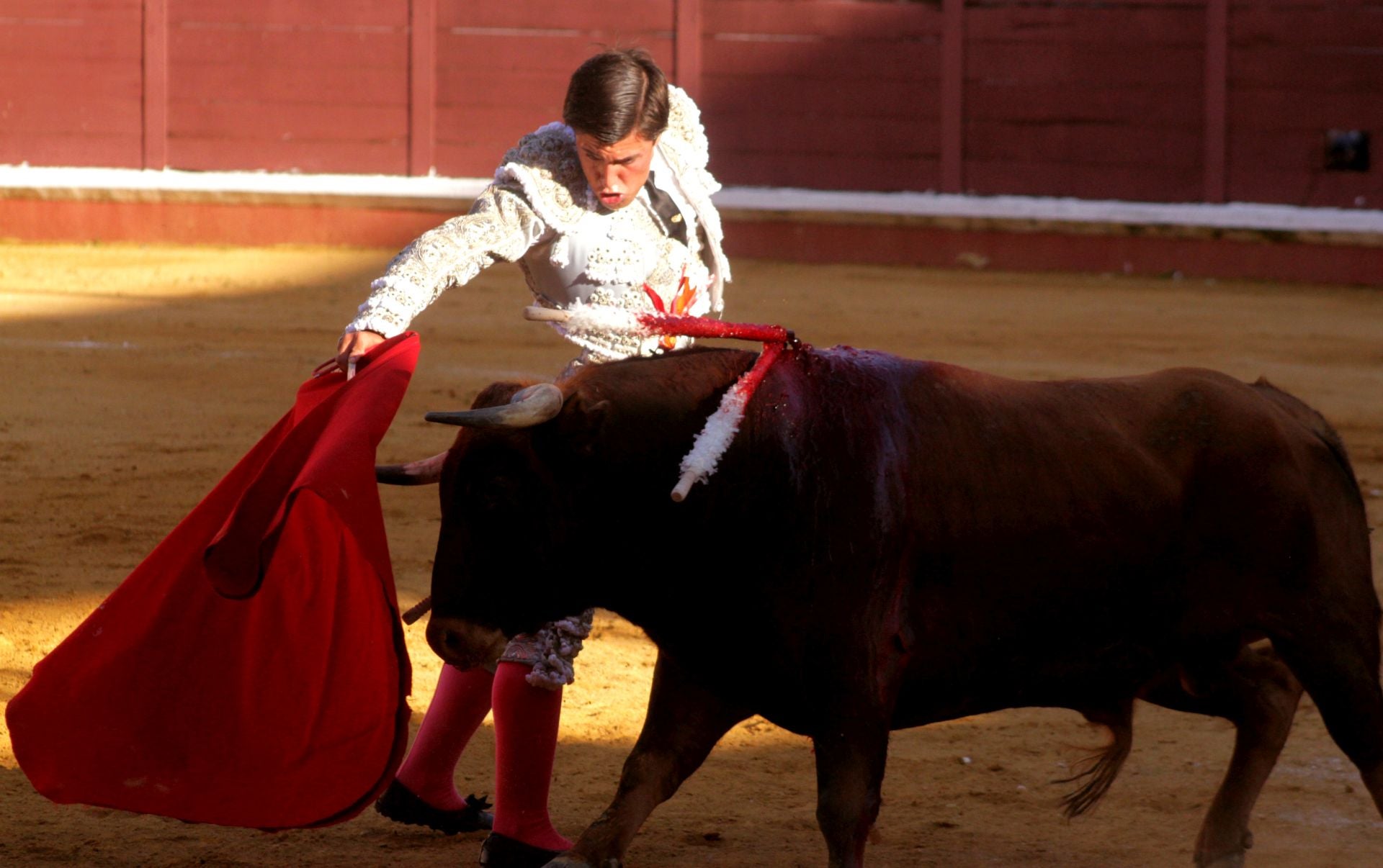 El nuevo triunfo de Román en la novillada de Lucena, en imágenes