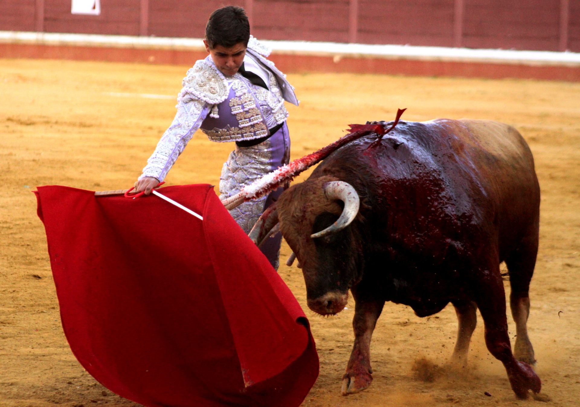 El nuevo triunfo de Román en la novillada de Lucena, en imágenes