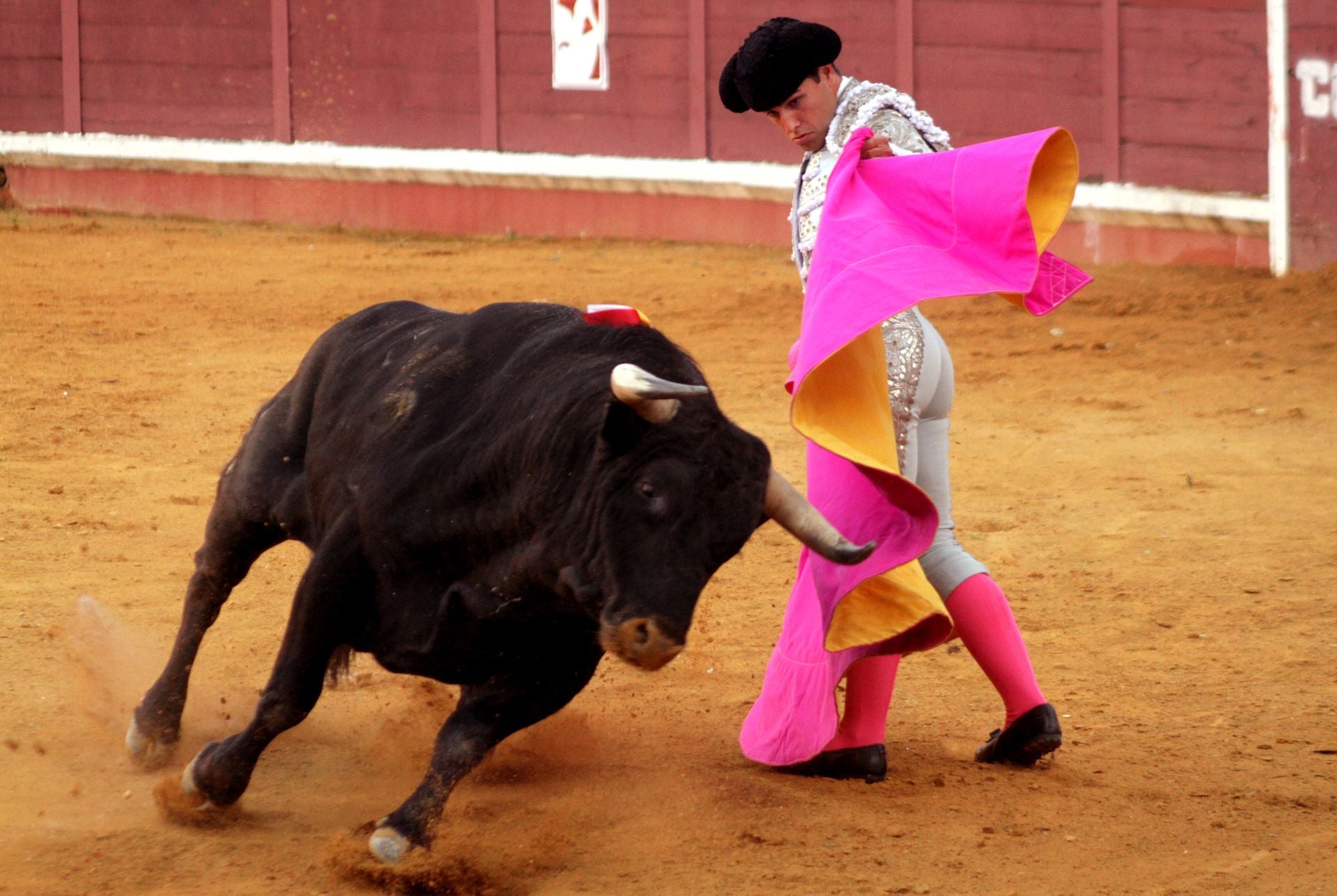 El nuevo triunfo de Román en la novillada de Lucena, en imágenes