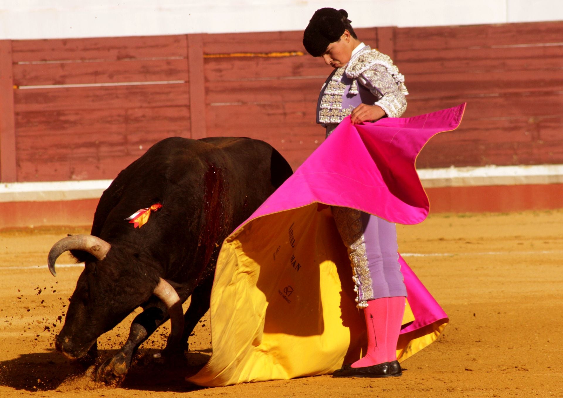El nuevo triunfo de Román en la novillada de Lucena, en imágenes