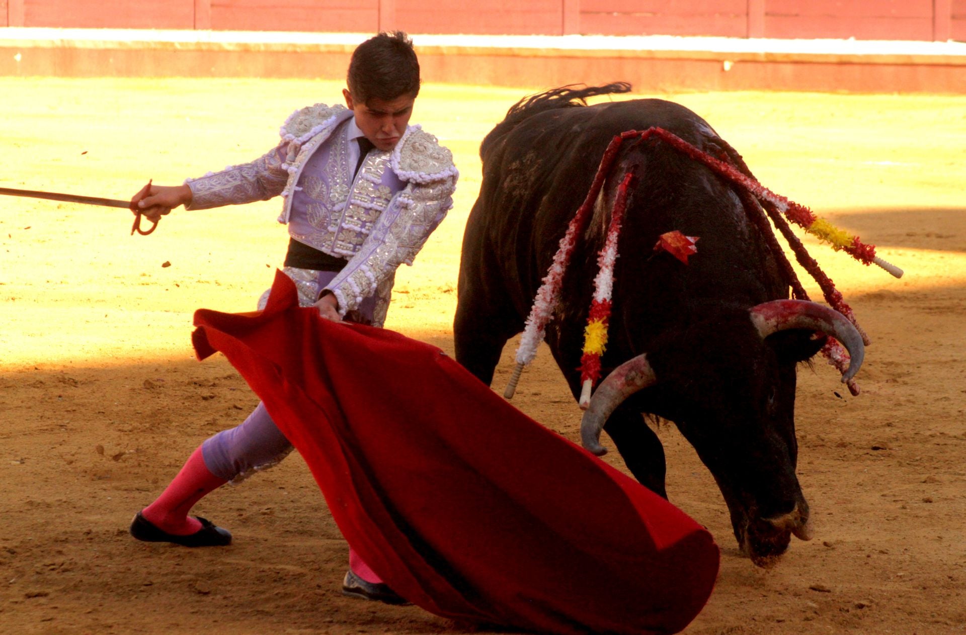 El nuevo triunfo de Román en la novillada de Lucena, en imágenes