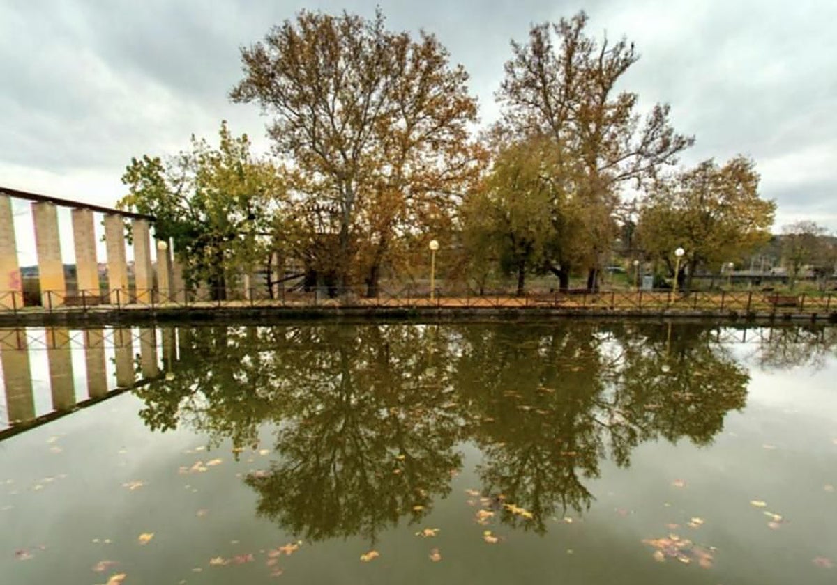 El abandonado estanque de Safont será un humedal naturalizado