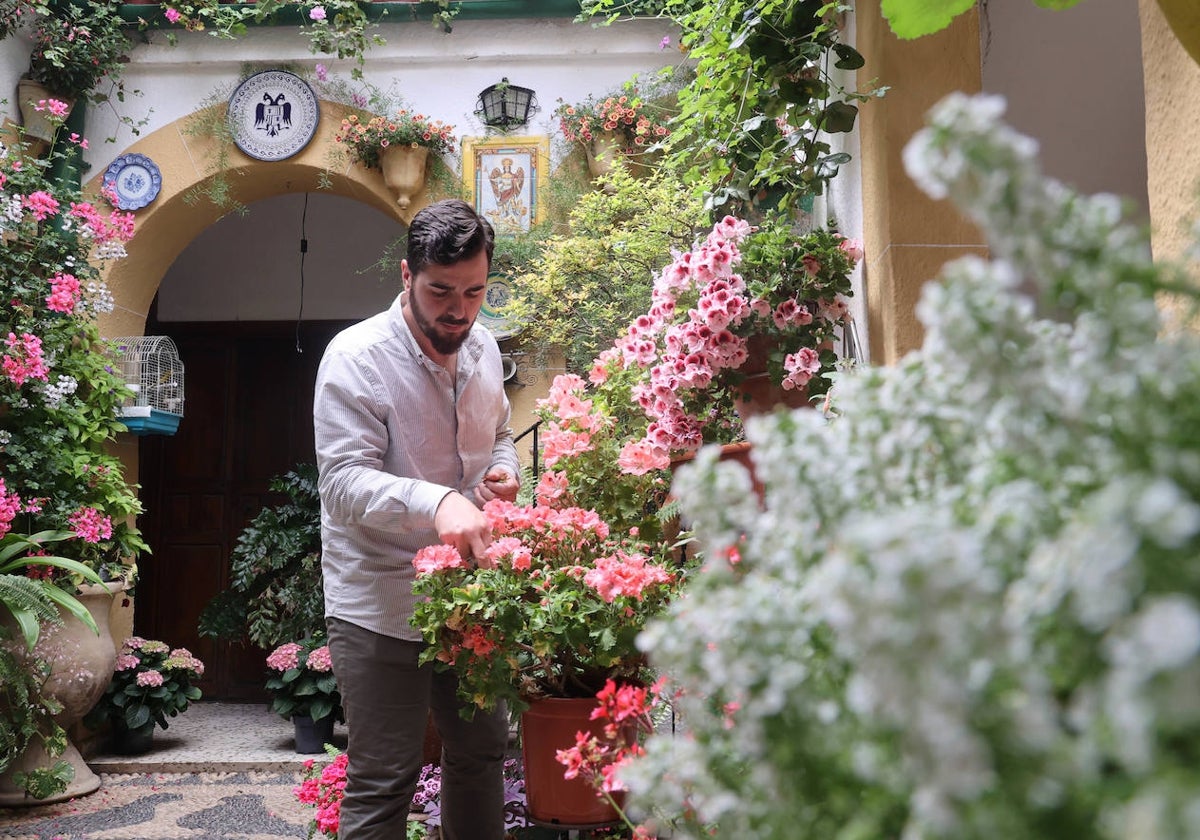 Un joven riega las macetas a escasos días de arrancar la fiesta de los Patios Cordobeses