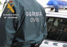 Detenido un joven por cometer cinco robos y siete incendios en Cenes de la Vega