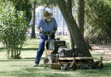 El Ayuntamiento adjudica por 23,1 millones de euros un macrocontrato para el mantenimiento de zonas verdes