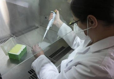 Andalucía lidera el ranking nacional de investigadores vinculados a universidades públicas, con 18.251 profesionales