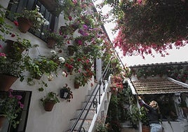 Un año de cuidados, dos semanas de exuberancia: los Patios de Córdoba abren sus puertas