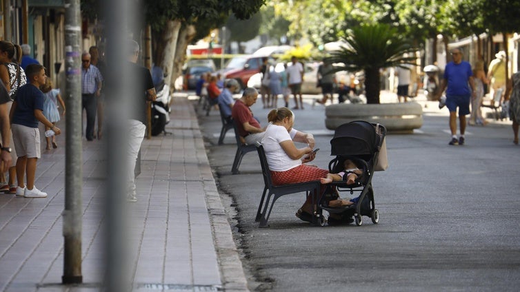 El Ayuntamiento de Córdoba iniciará en septiembre la obra de peatonalización definitiva de la avenida de la Viñuela